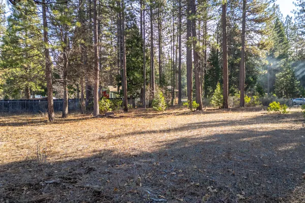 a view of road with trees