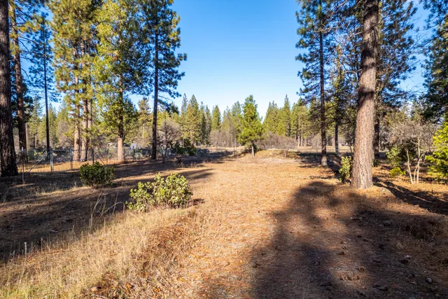 a view of road with trees