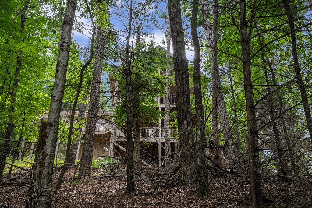 120 Dogwood Road Ellijay, GA 30536 - Photo 31 of 45 Gallery Image 31