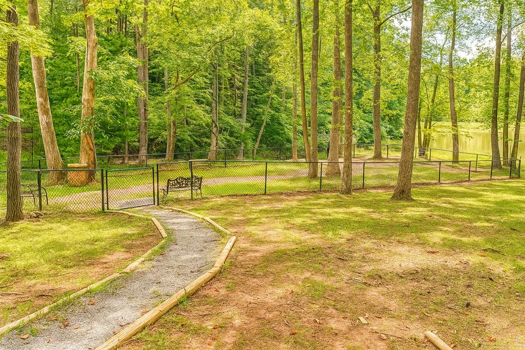 120 Dogwood Road Ellijay, GA 30536 - Photo 37 of 45 Dog park