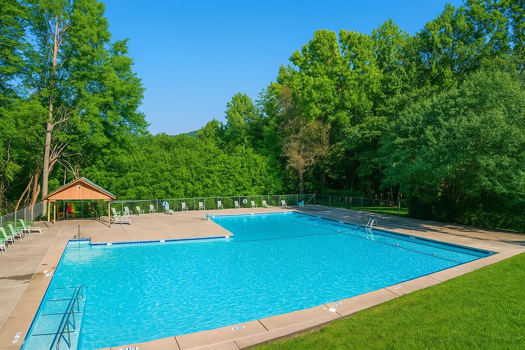 120 Dogwood Road Ellijay, GA 30536 - Photo 43 of 45 Pool