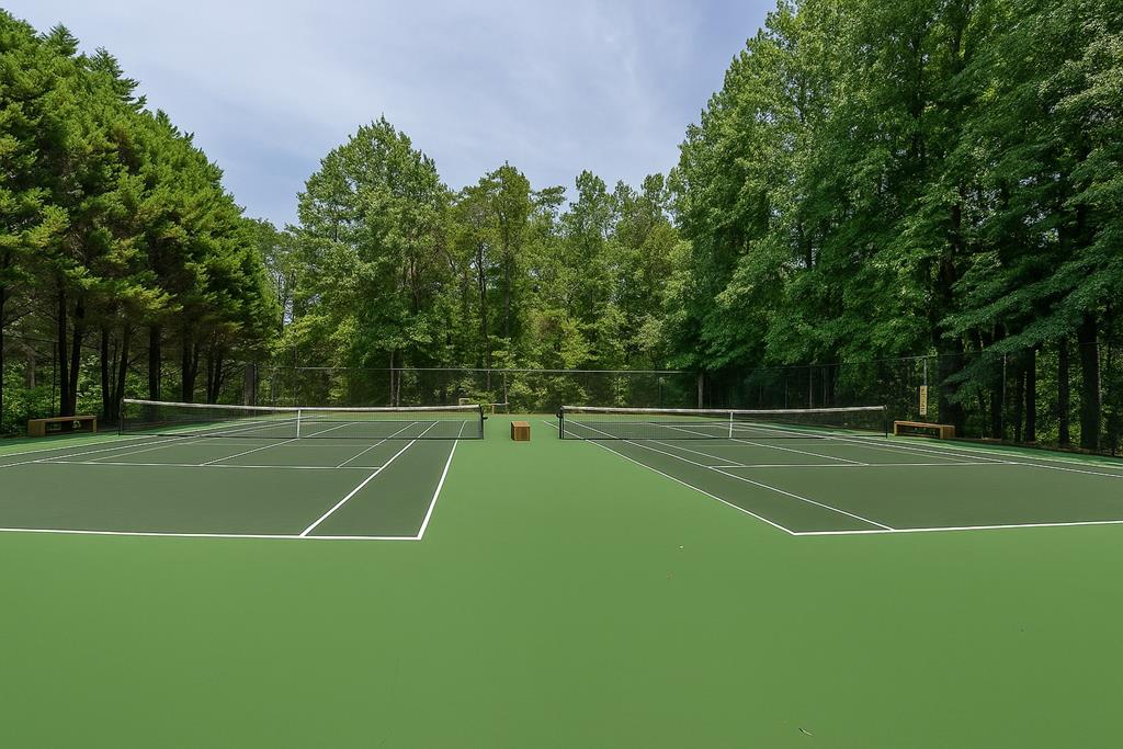 120 Dogwood Road Ellijay, GA 30536 - Photo 45 of 45 Tennis Courts