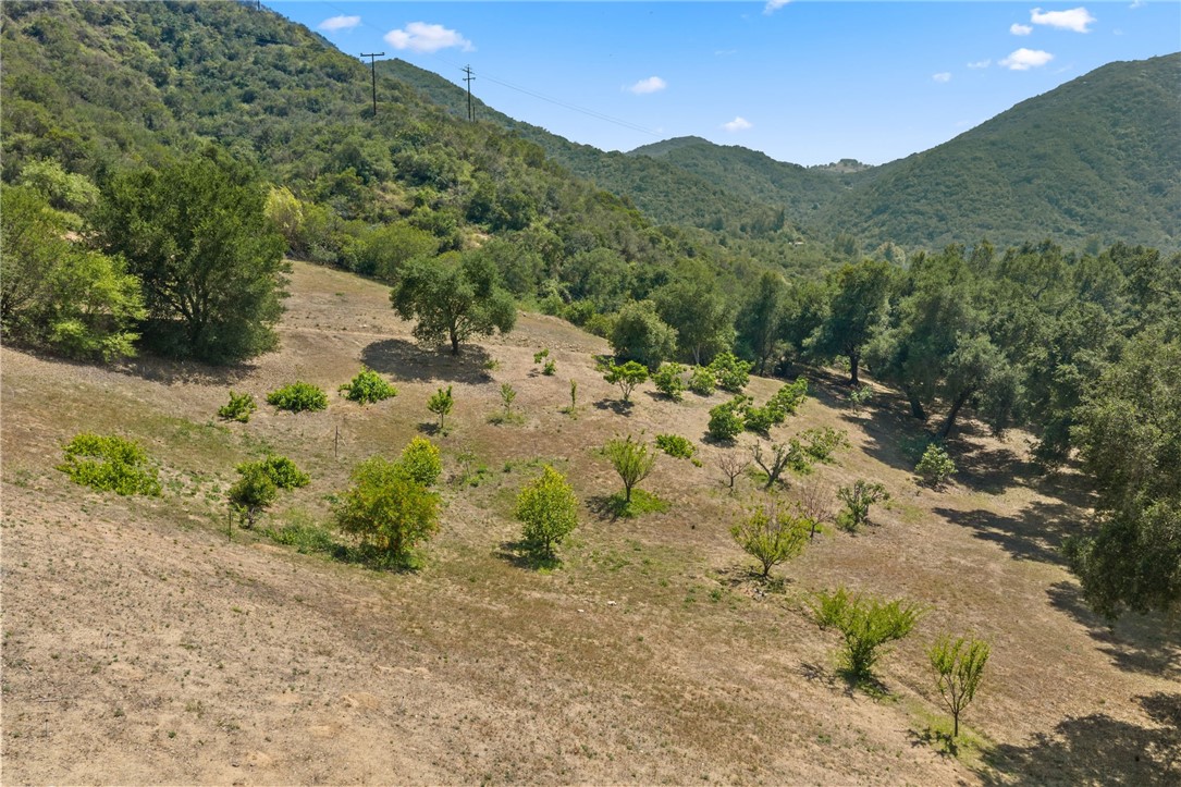48980 De Luz Road Temecula, CA 92590 - Photo 44 of 50 a view of a forest with mountains in the background