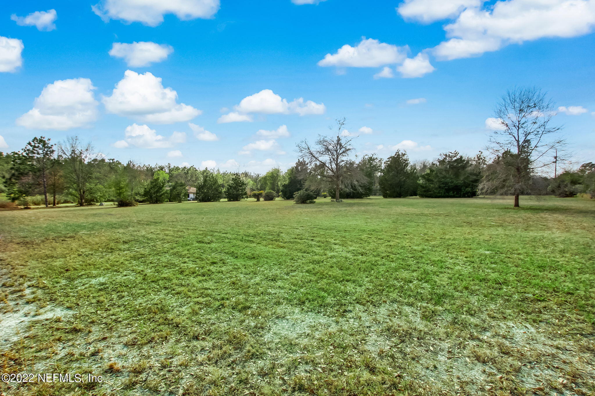 5665 Maverick Road Middleburg, FL 32068 - Photo 21 of 46 Backyard
