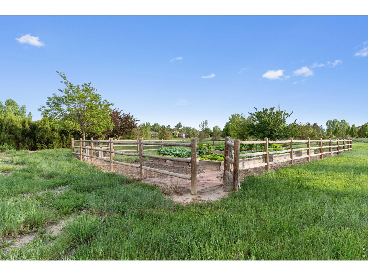964 Riparian Way Fort Collins, CO 80524 - Photo 15 of 42 a view of a green field