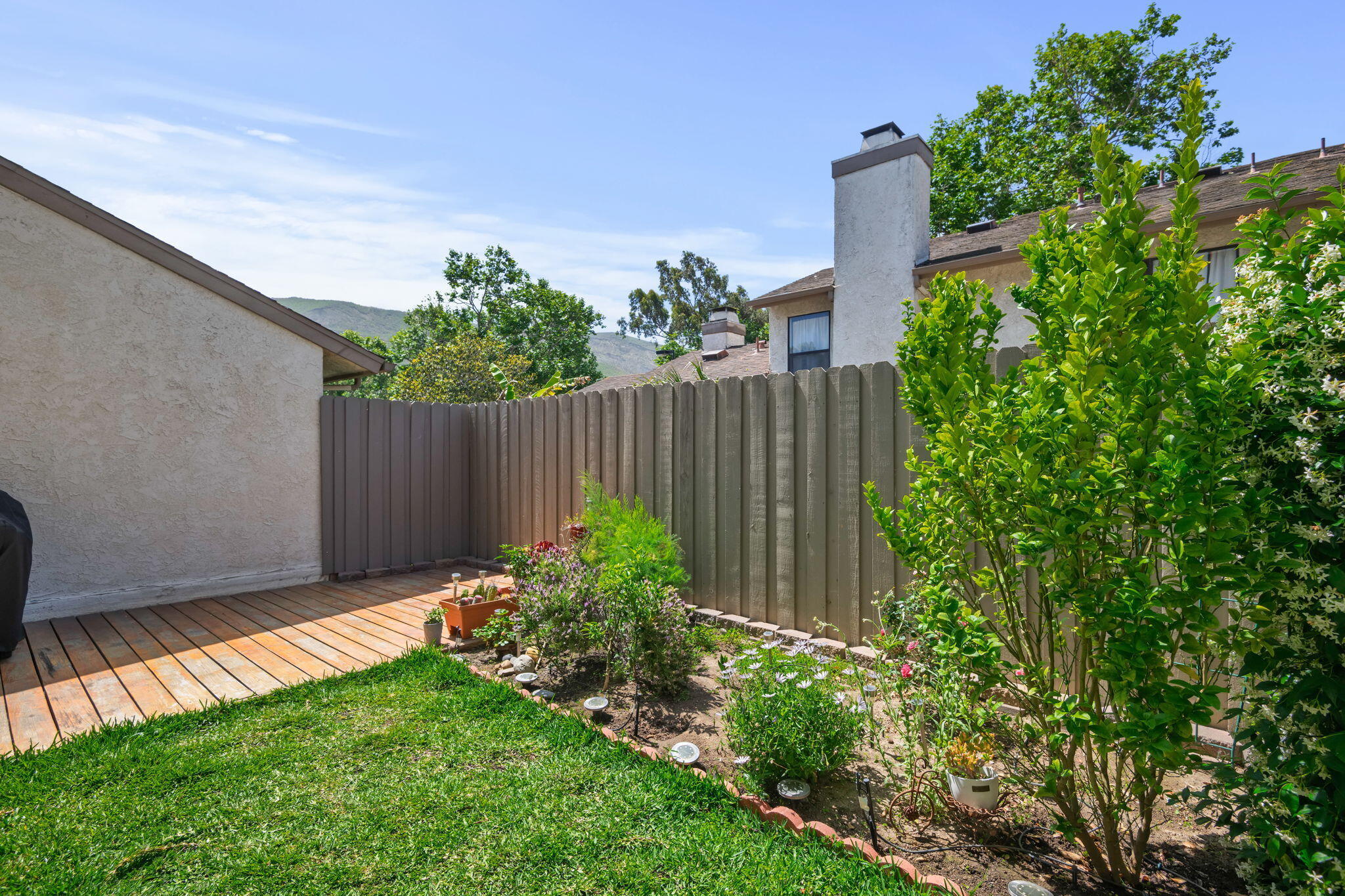 222 Ute Lane Ventura, CA 93001 - Photo 11 of 29 a view of a backyard with plants and a bench