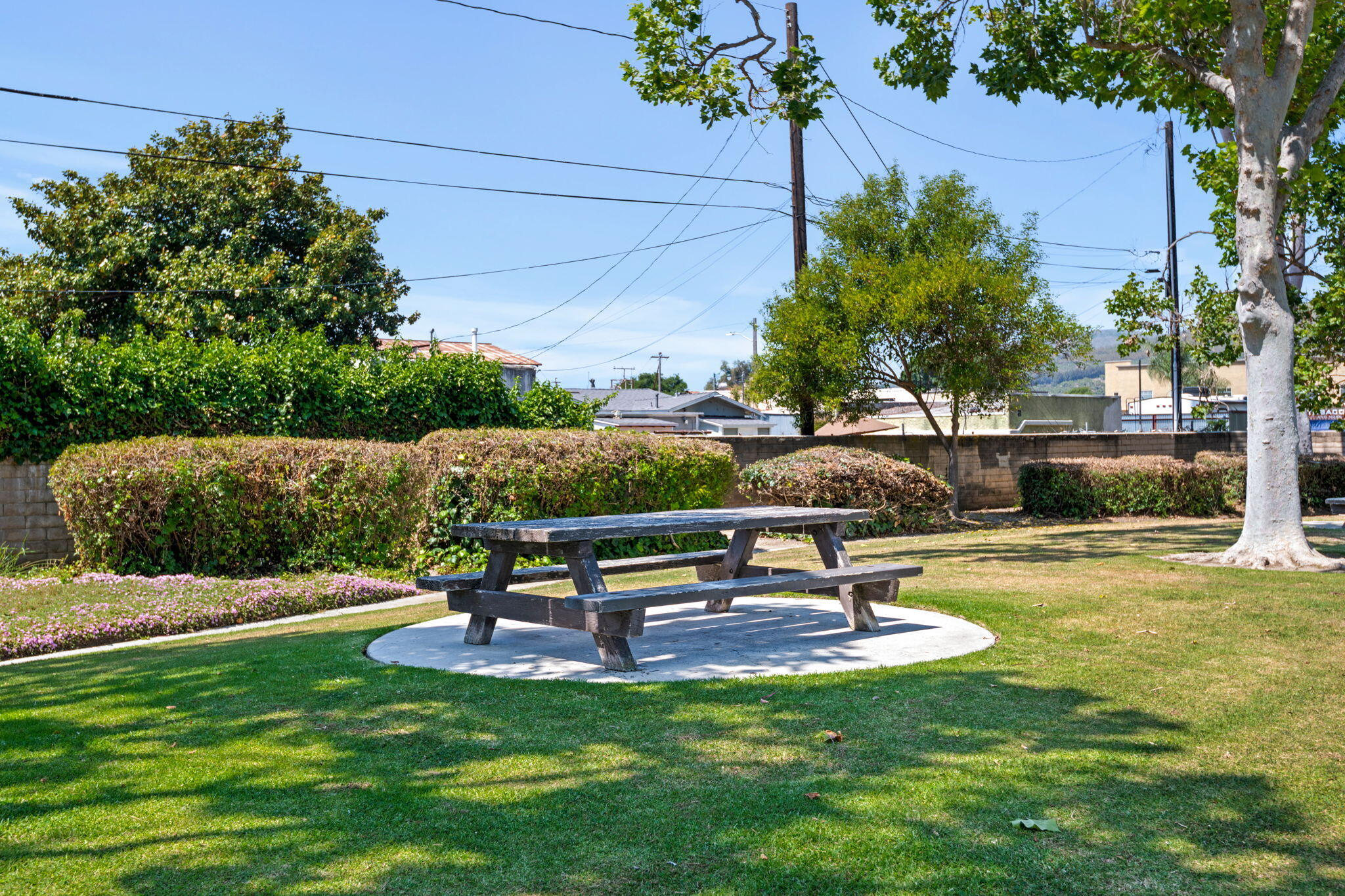 222 Ute Lane Ventura, CA 93001 - Photo 27 of 29 a swimming pool with outdoor seating and garden