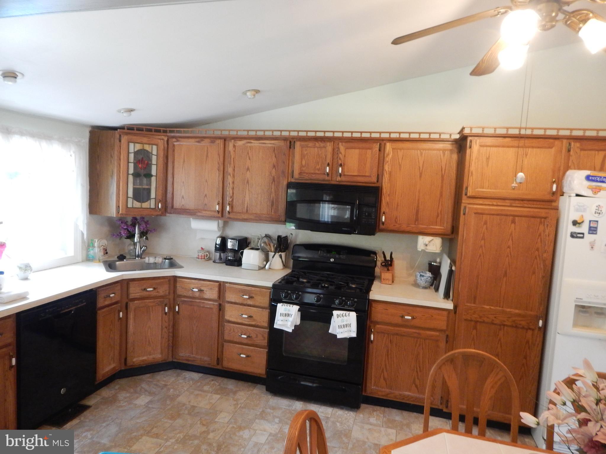 3902 Dorchester Road Philadelphia, PA 19154 - Photo 5 of 24 Kitchen