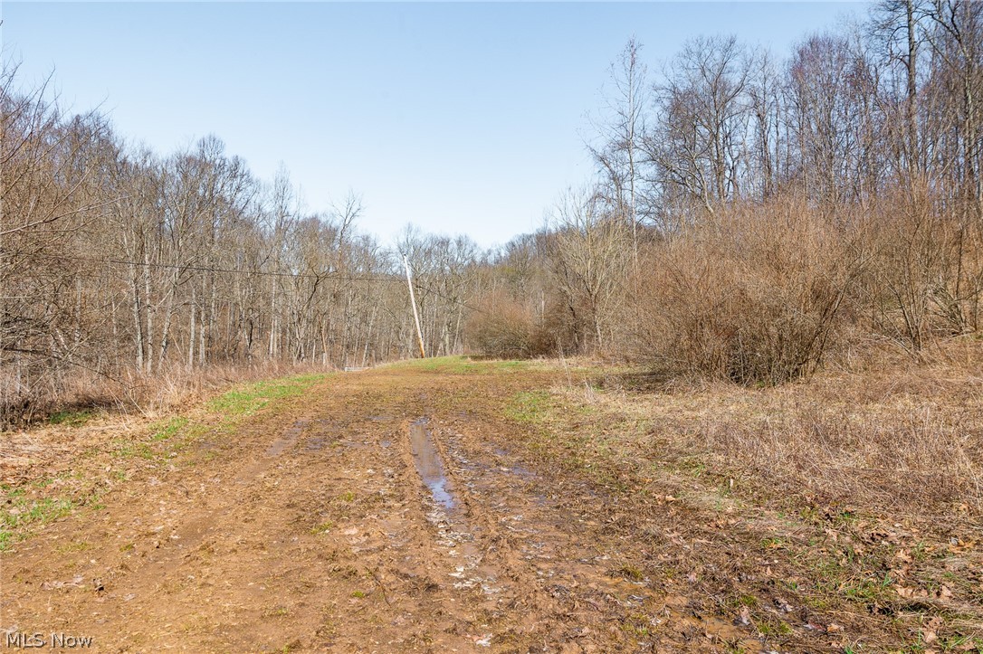 Sheepskin Ridge Road Lower Salem, OH 45745 - Photo 5 of 50 View of road with a wooded view