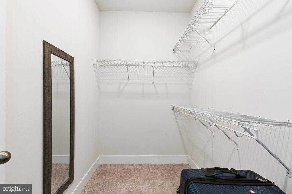 7203 Gringotts Way, Unit A Elkridge, MD 21075 - Photo 11 of 23 a view of walk in closet with clothes and shoes