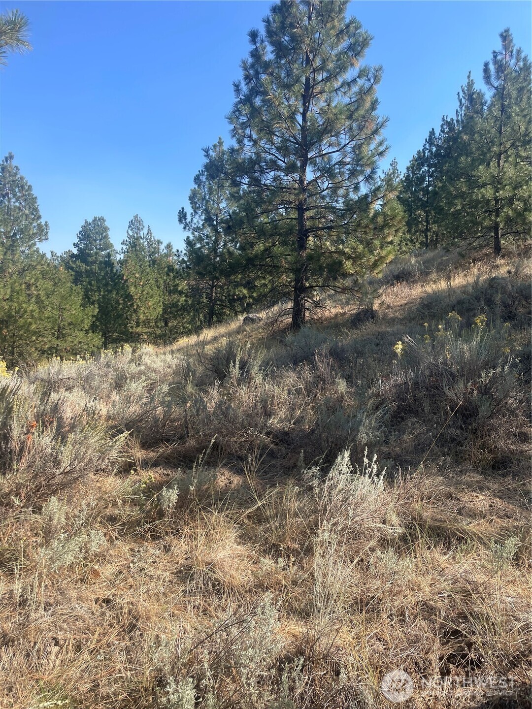 -tbd Reevas Basin Road Tonasket, WA 98855 - Photo 9 of 38