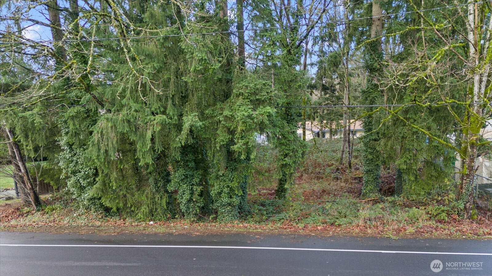 a view of a yard from a window