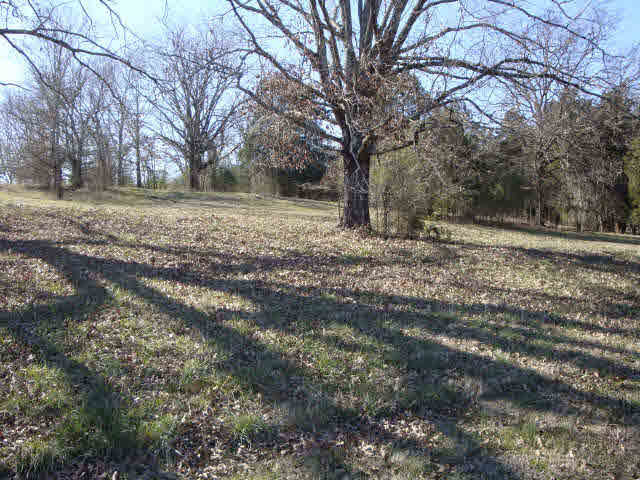 0 Southern Ridge Drive, Unit LOT 46 ANNANDAL Madison, MS 39110 - Photo 3 of 7 Photo 3