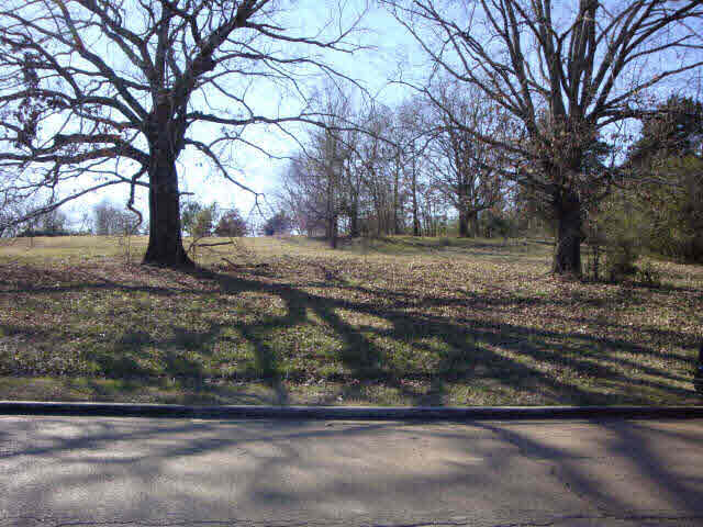 0 Southern Ridge Drive, Unit LOT 46 ANNANDAL Madison, MS 39110 - Photo 4 of 7 Photo 4