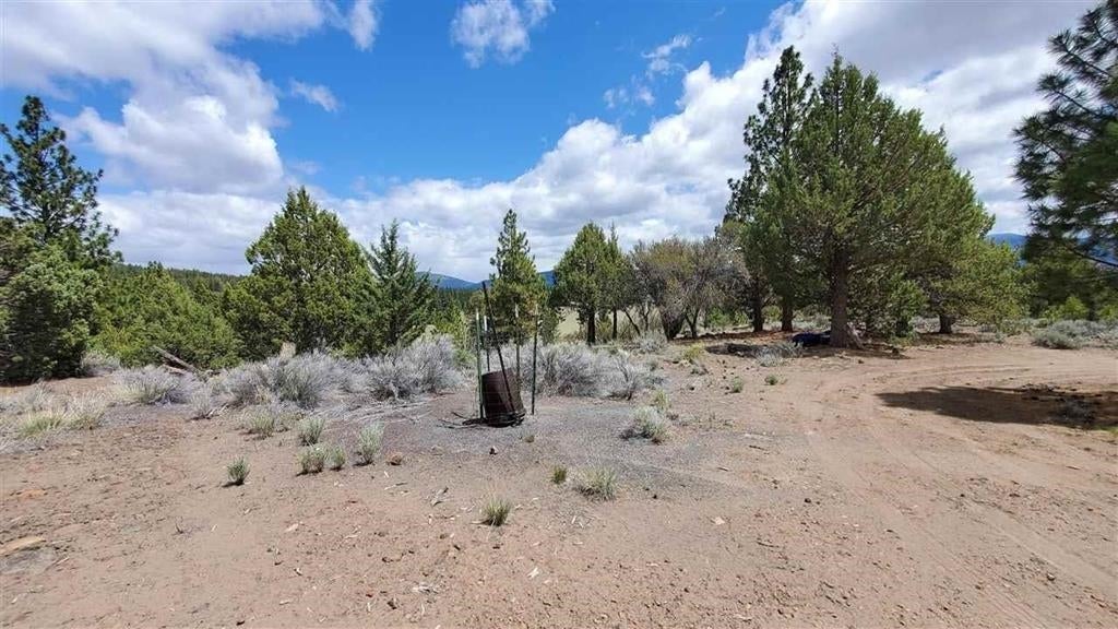 Robison Road Macdoel, CA 96058 - Photo 9 of 30 Gallery Image 9