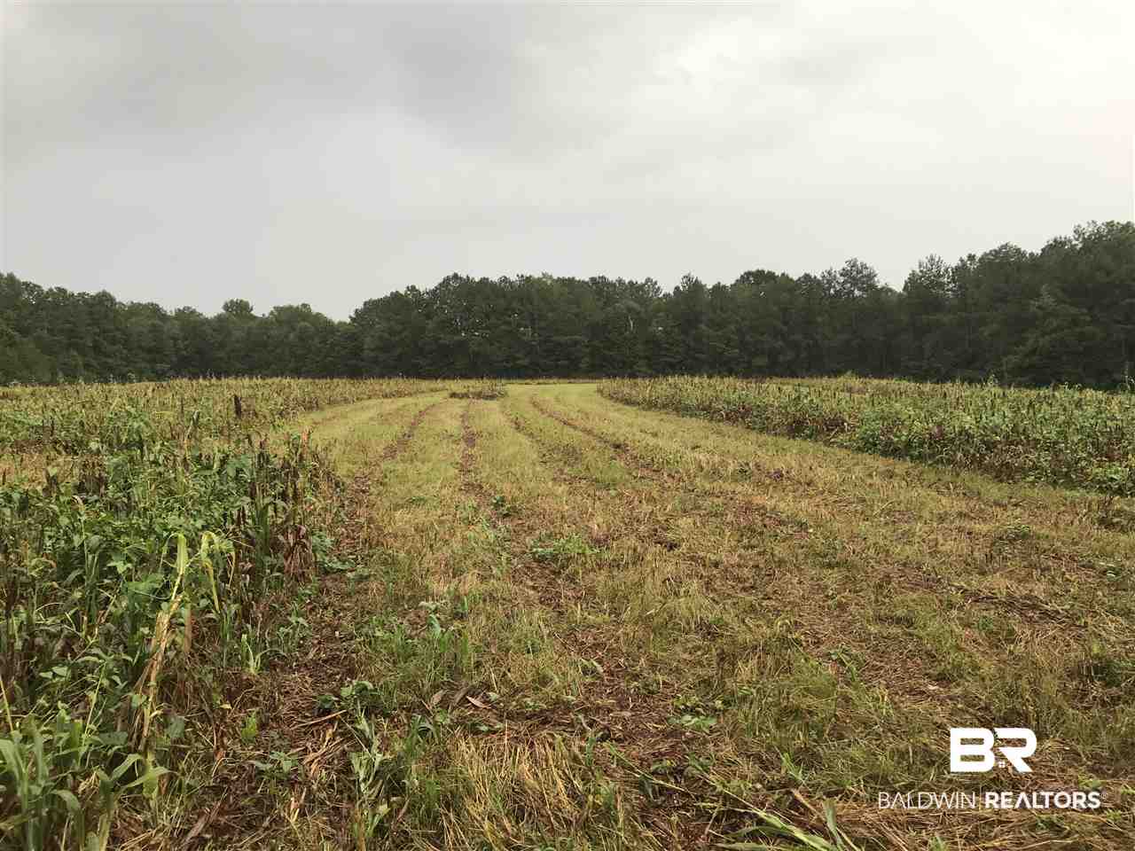 1478 Ridge Road Greenville, AL 36037 - Photo 9 of 50