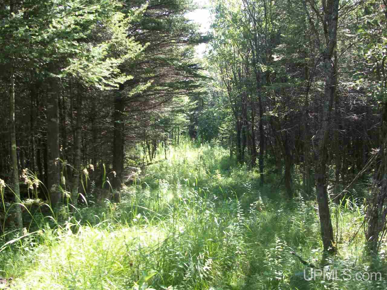 Tbd Off 32nd Road Rapid River, MI 49878 - Photo 4 of 6