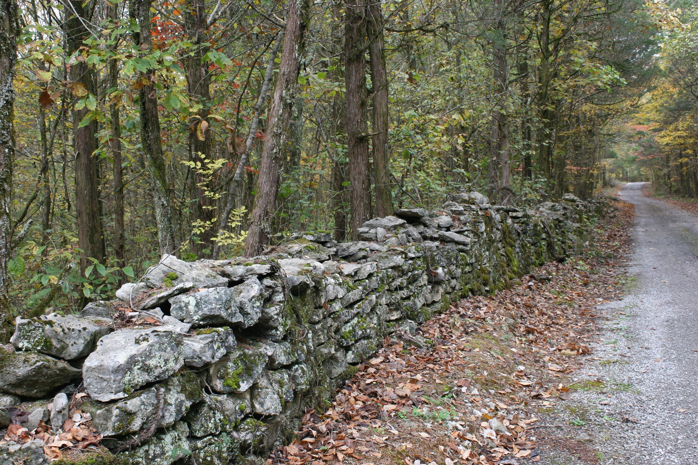 560 Poplar Road Silver Point, TN 38582 - Photo 22 of 29 Off the beaten path! Welcome Home!
