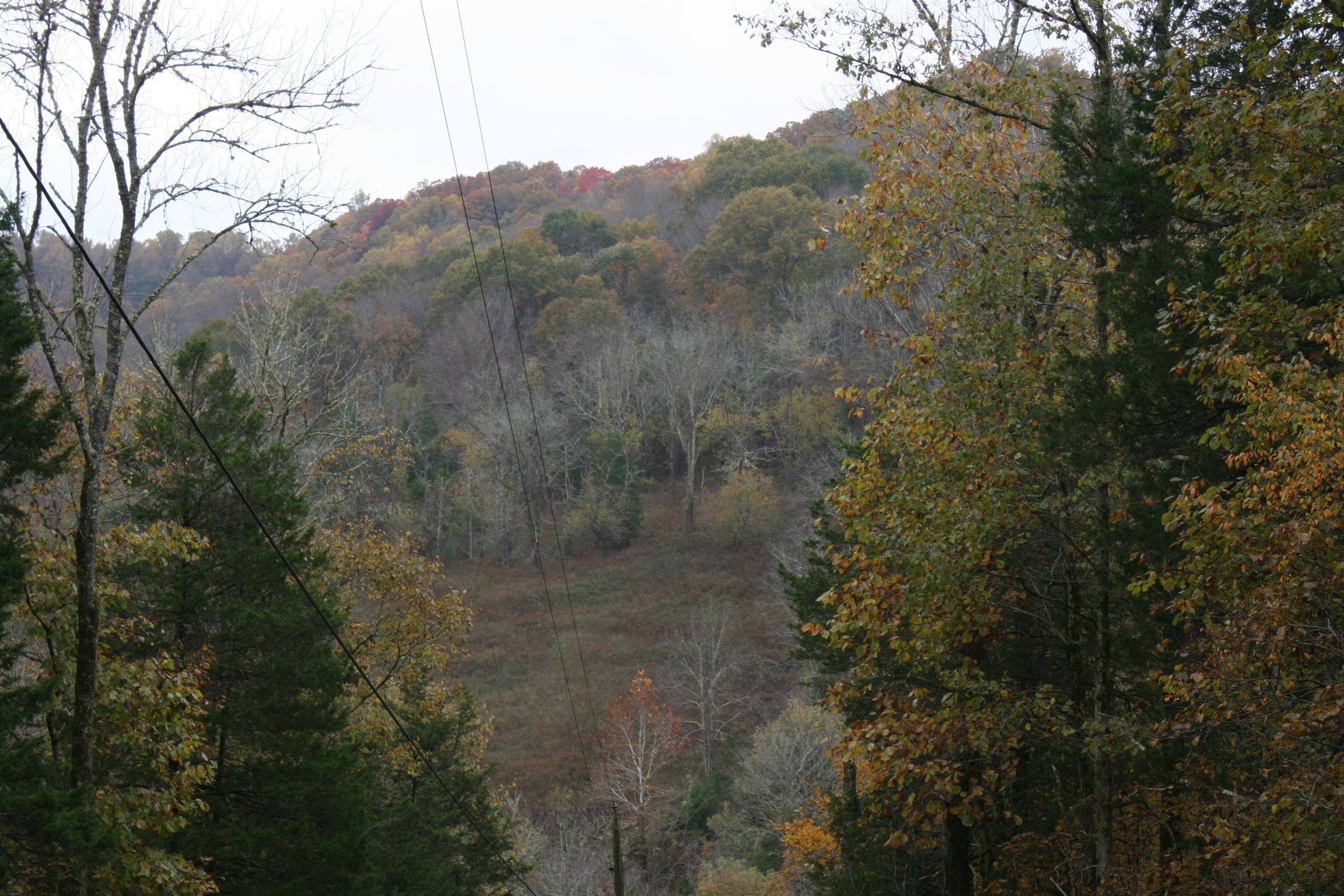 560 Poplar Road Silver Point, TN 38582 - Photo 26 of 29 Beautiful scenery from the backyard