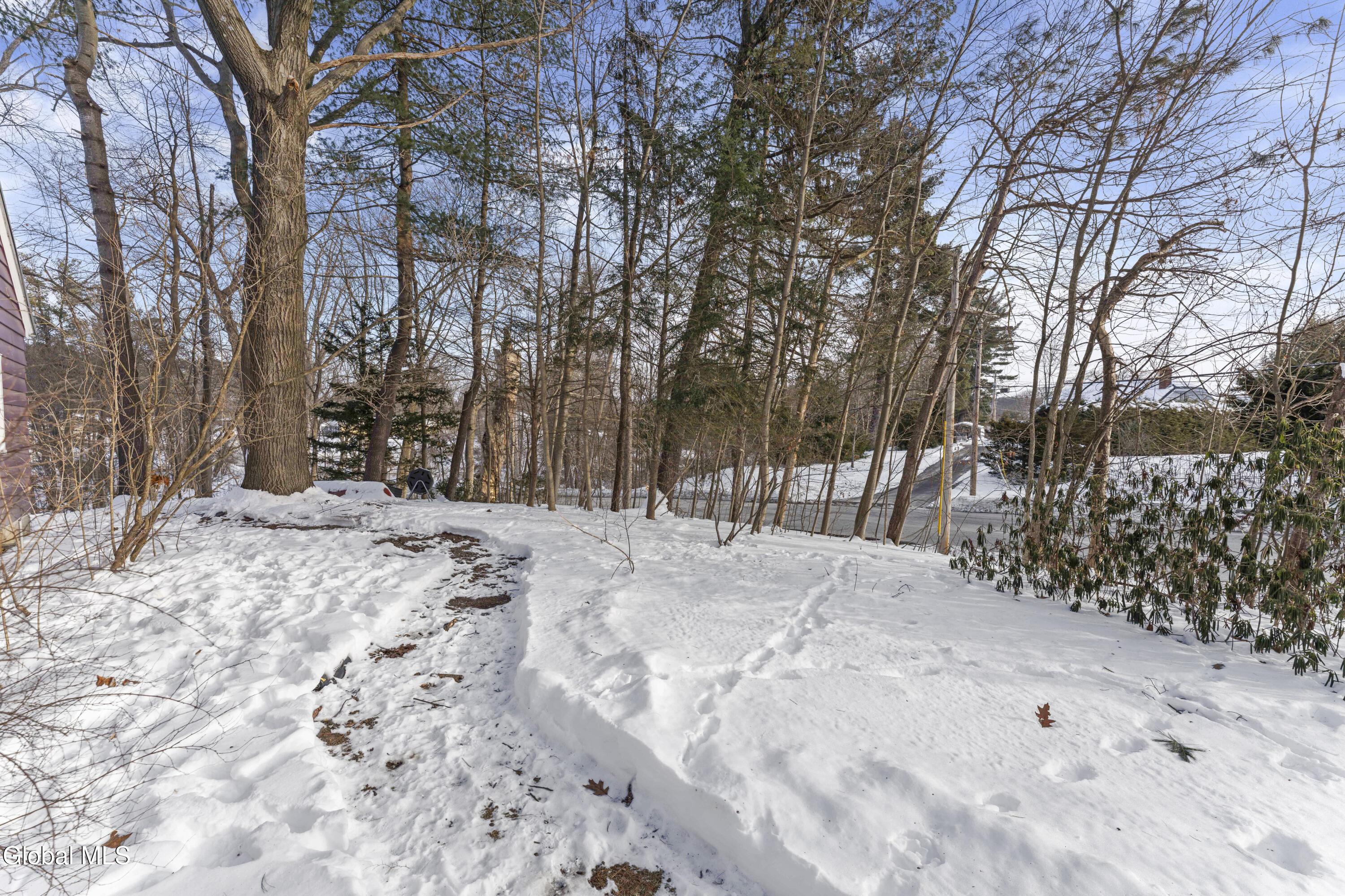 19 Sheffield Road Schenectady, NY 12302 - Photo 31 of 38 Yard 1