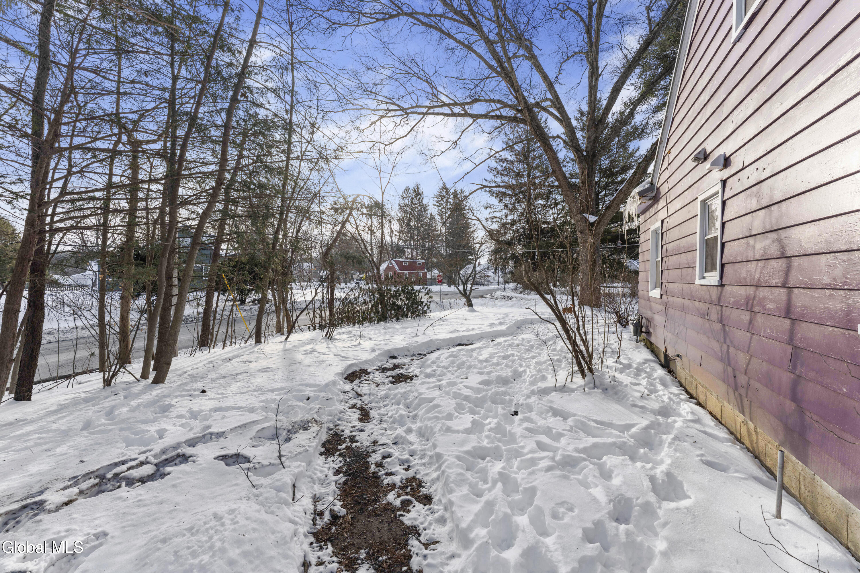 19 Sheffield Road Schenectady, NY 12302 - Photo 32 of 38 Yard 2