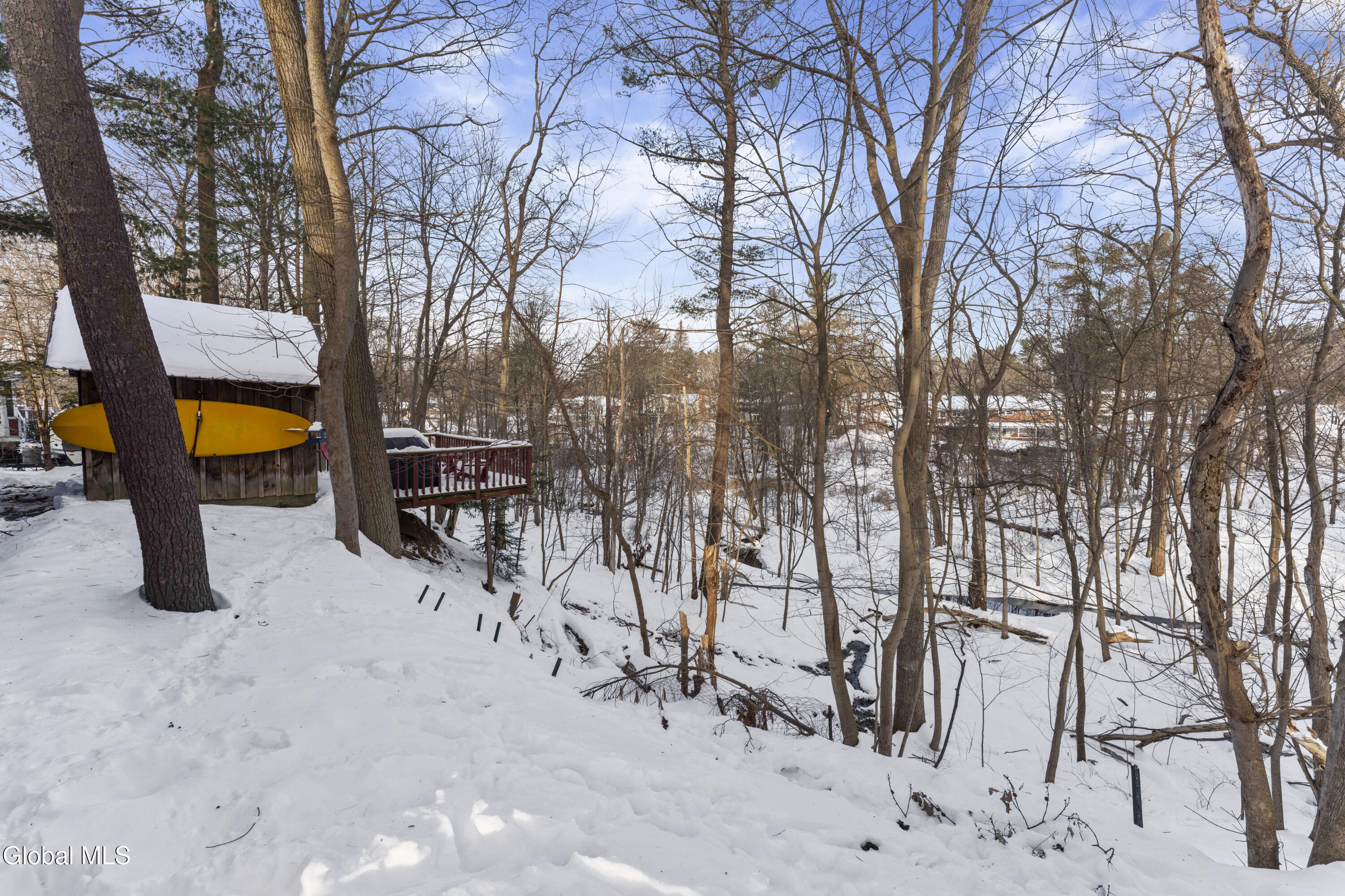19 Sheffield Road Schenectady, NY 12302 - Photo 33 of 38 Yard 3