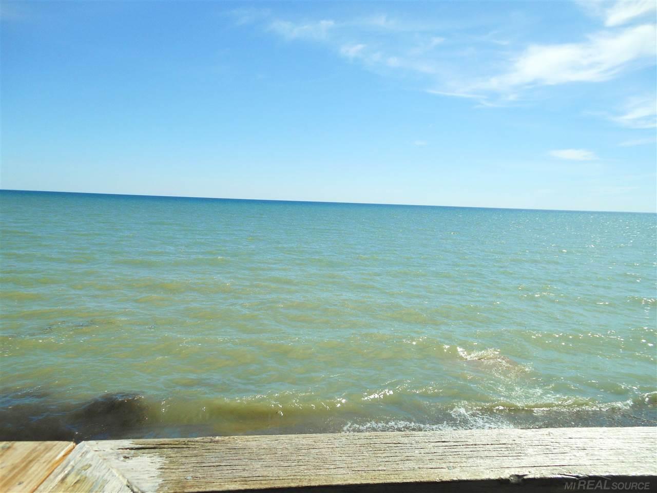 3990 Lakeshore Road Deckerville, MI 48427 - Photo 6 of 33 31379739-5.JPG