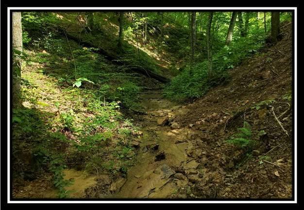 0 Pedigo Ridge Road, Unit TRACT 6) Nelsonville, OH 45764 - Photo 13 of 57 image013
