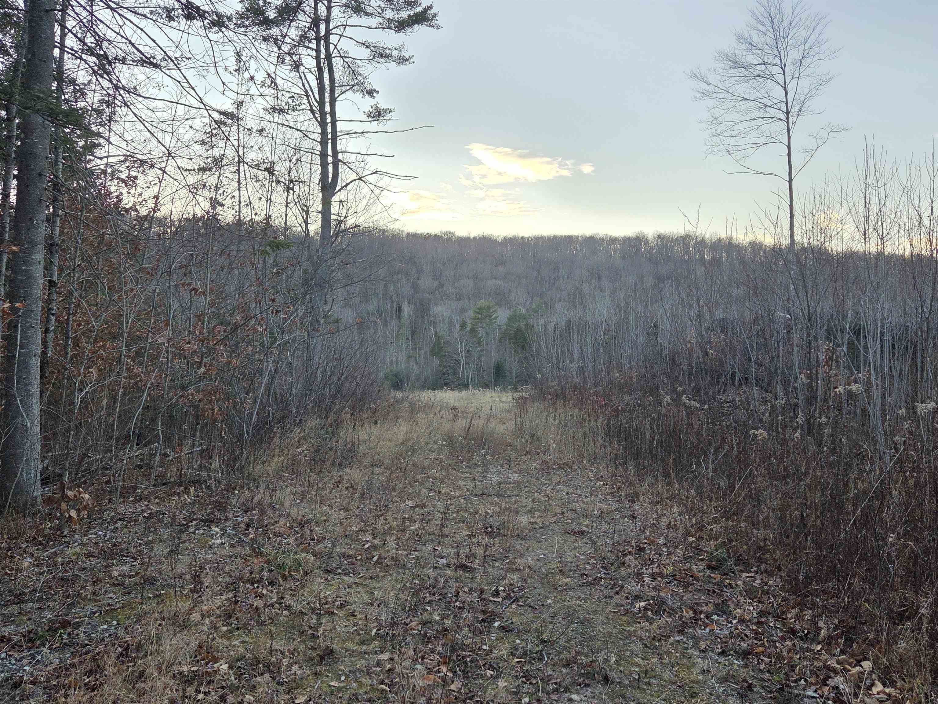672-3 Bog Road, Unit 3 Enfield, NH 03753 - Photo 2 of 9