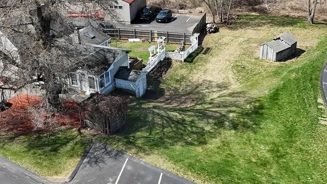 a view of a yard with plants