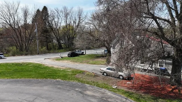 a view of yard with tree