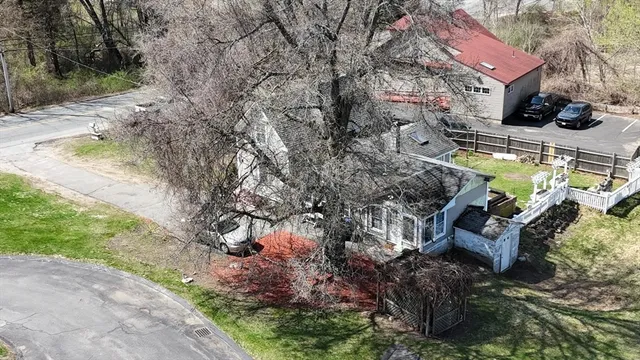 a view of a yard with plants and large trees