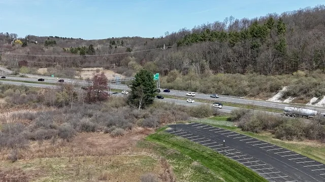 a view of a yard with a tree