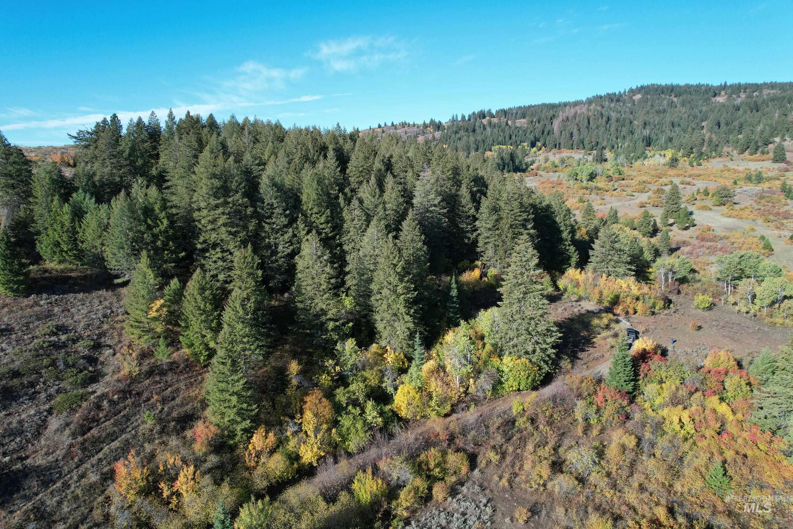 1700 Jackson Creek Road Council, ID 83612 - Photo 24 of 24