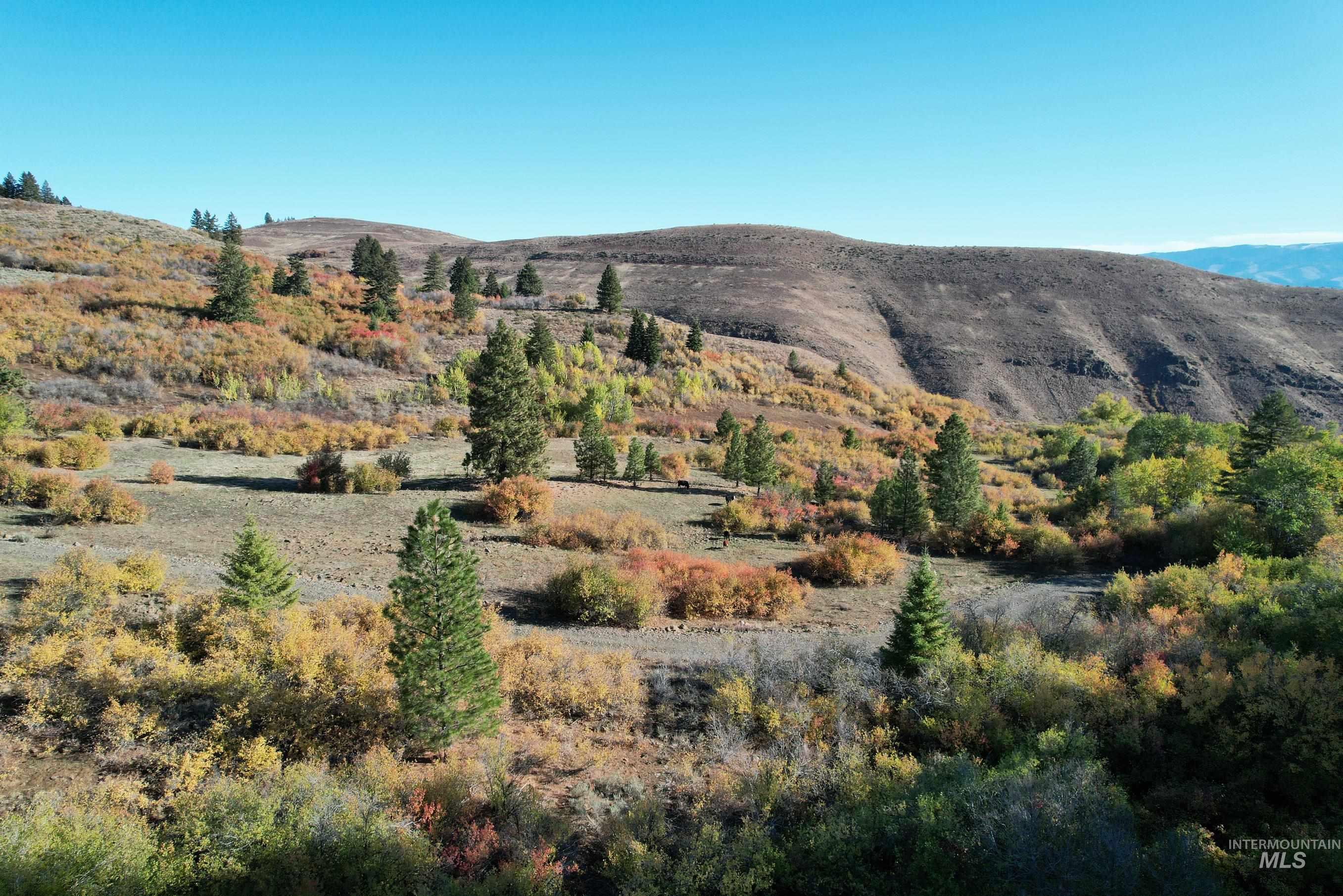 1700 Jackson Creek Road Council, ID 83612 - Photo 3 of 24