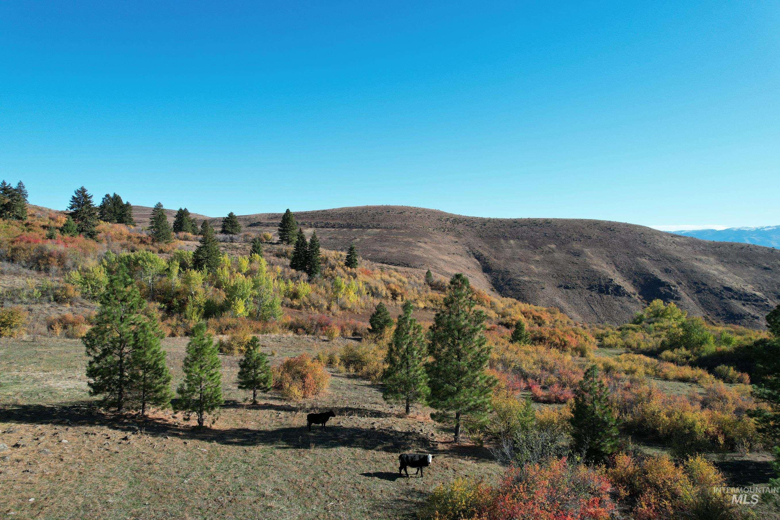 1700 Jackson Creek Road Council, ID 83612 - Photo 4 of 24