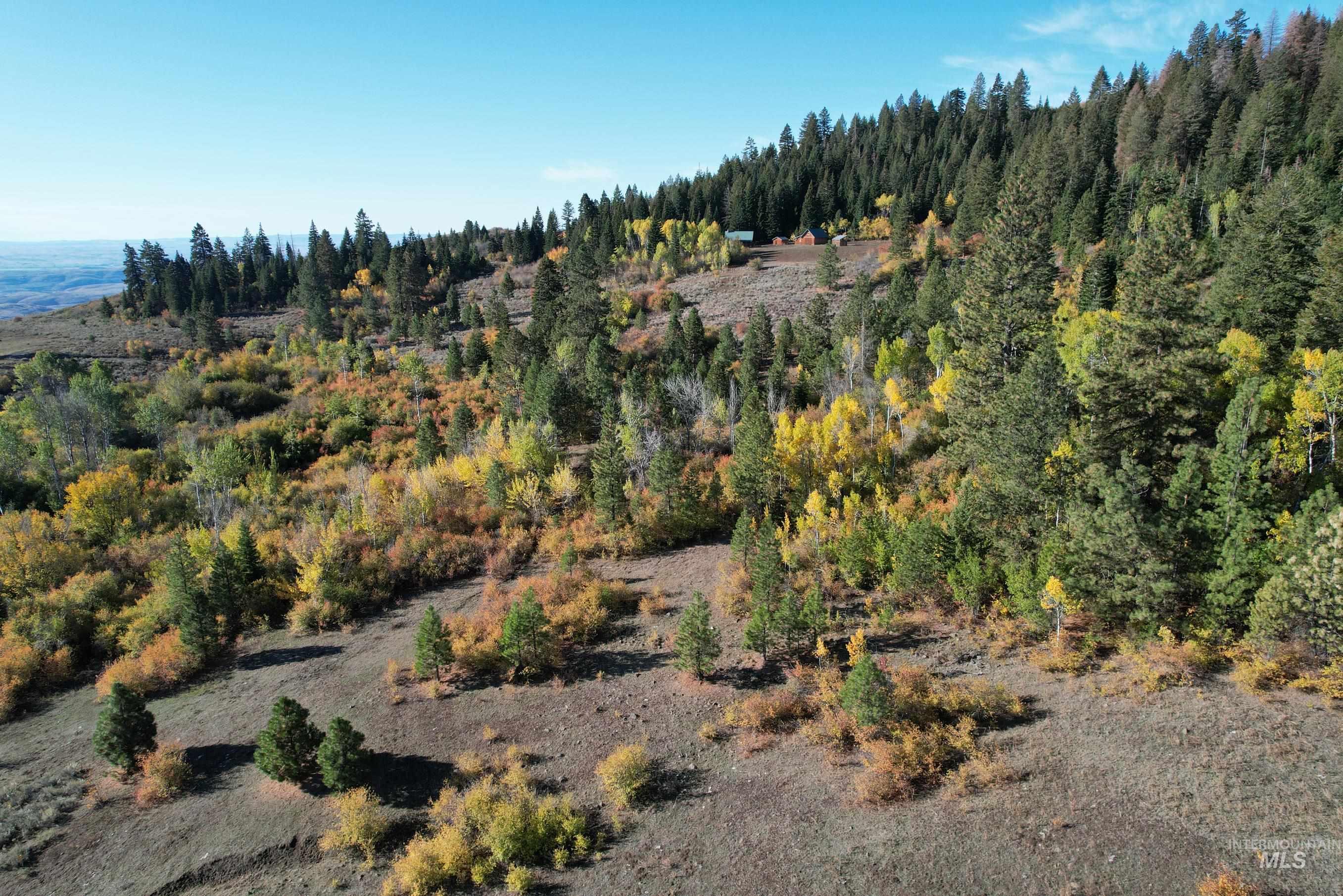 1700 Jackson Creek Road Council, ID 83612 - Photo 5 of 24