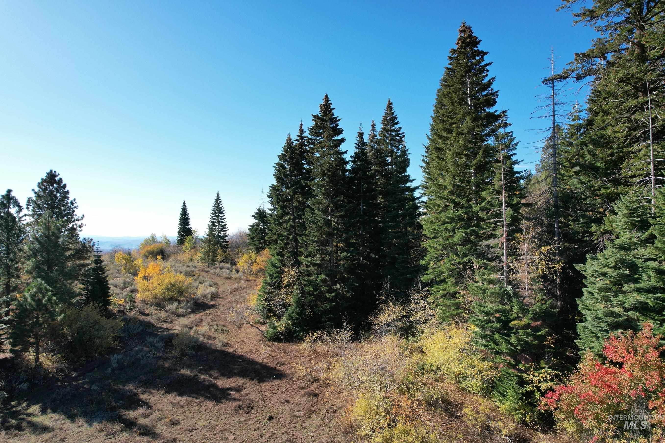 1700 Jackson Creek Road Council, ID 83612 - Photo 7 of 24