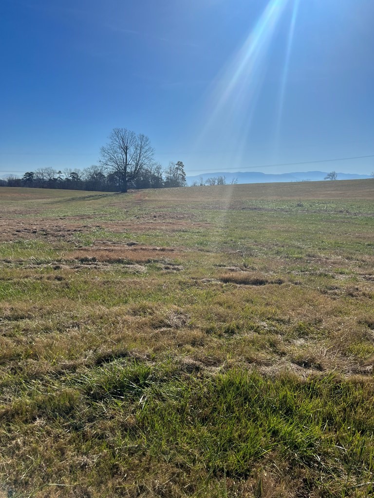 6 Valley Home Road Dandridge, TN 37725 - Photo 2 of 5 Gallery Image 2