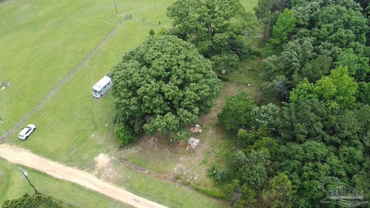 68697 Scranage Road Atmore, AL 36502 - Photo 6 of 9 a view of a yard from a window