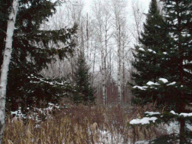 N10770 Tower Road Phillips, WI 54555 - Photo 14 of 14 Gallery Image 14