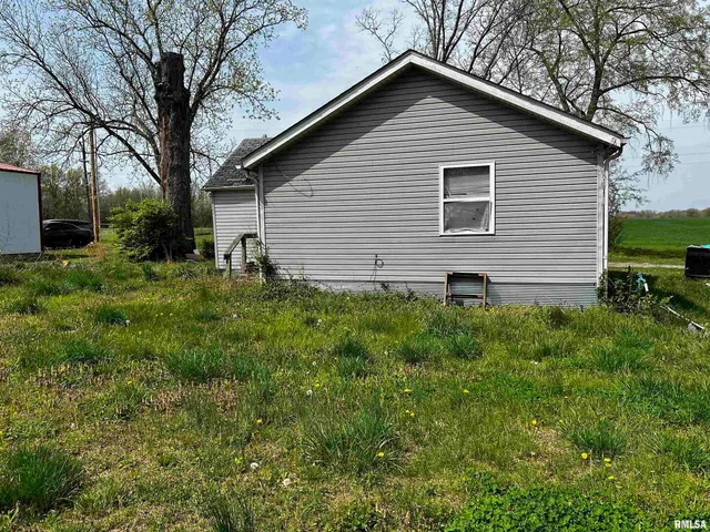 a backyard of a house with plants and large tree