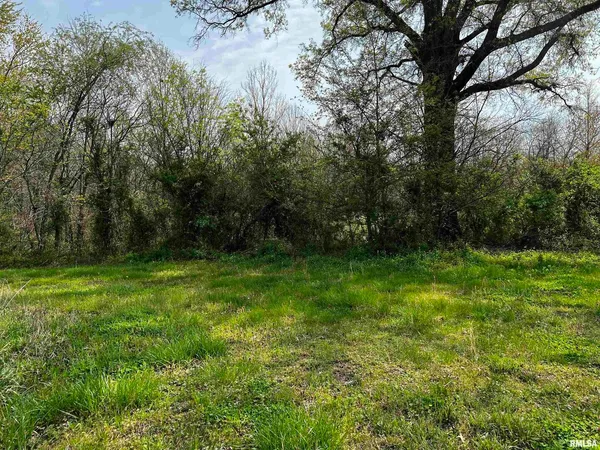 a view of backyard with green space