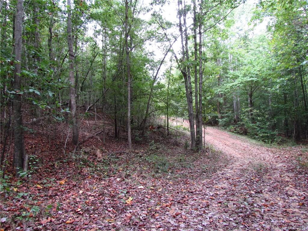 6397 Oak Hill Church Road Lancaster, SC 29720 - Photo 5 of 14 Gallery Image 5