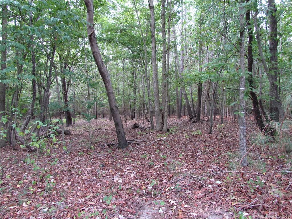 6397 Oak Hill Church Road Lancaster, SC 29720 - Photo 7 of 14 Gallery Image 7