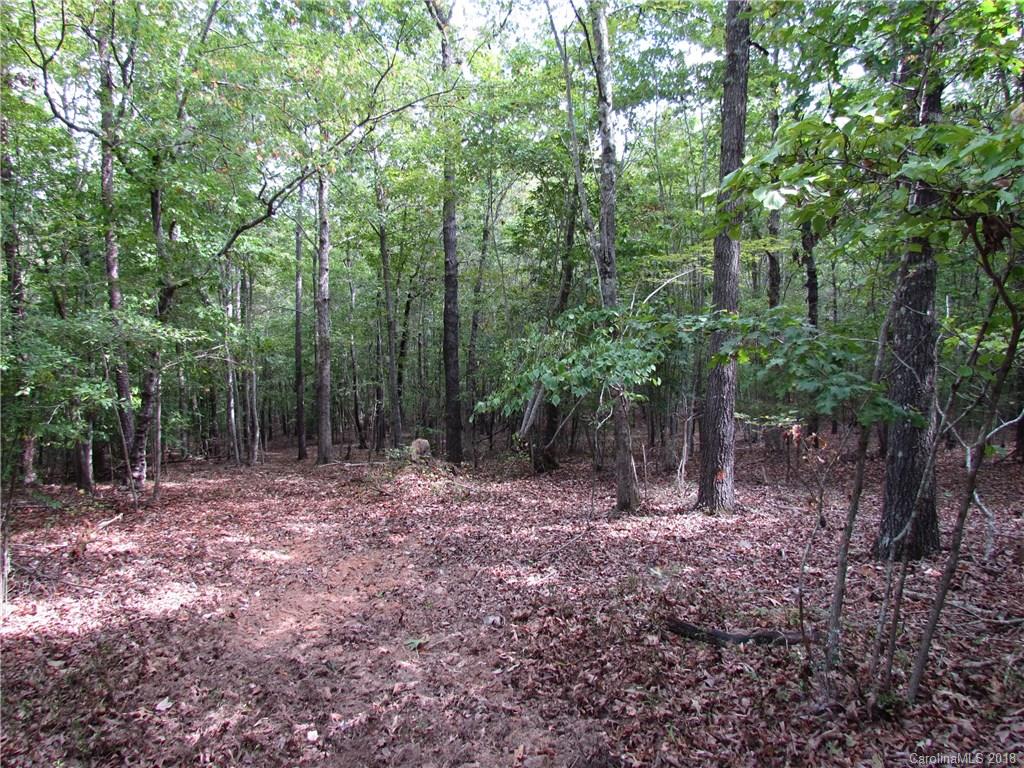 6397 Oak Hill Church Road Lancaster, SC 29720 - Photo 9 of 14 Gallery Image 9
