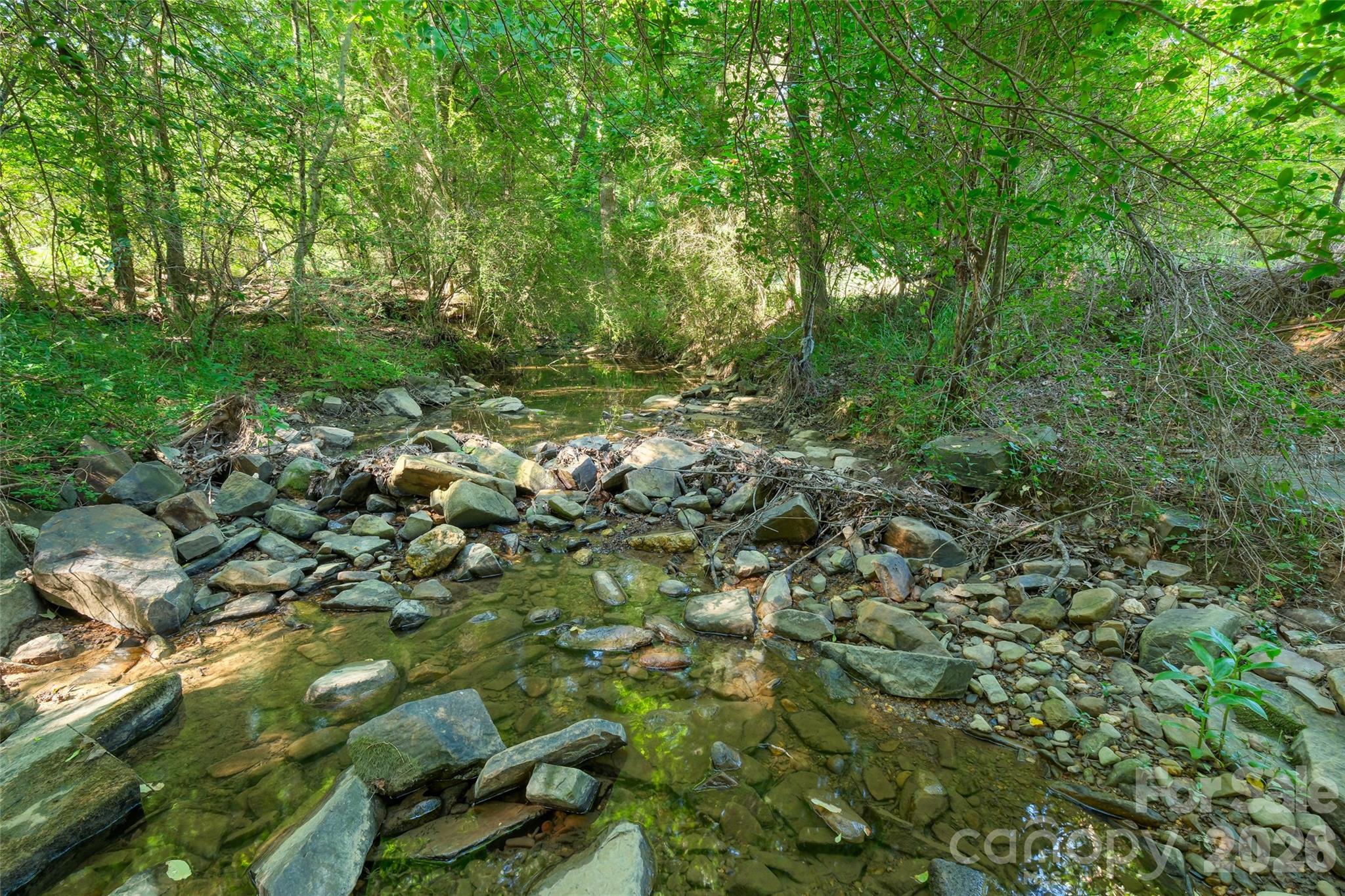 Lot 3 Crepts Branch Road, Unit 3 Locust, NC 28097 - Photo 12 of 36 a view of a forest