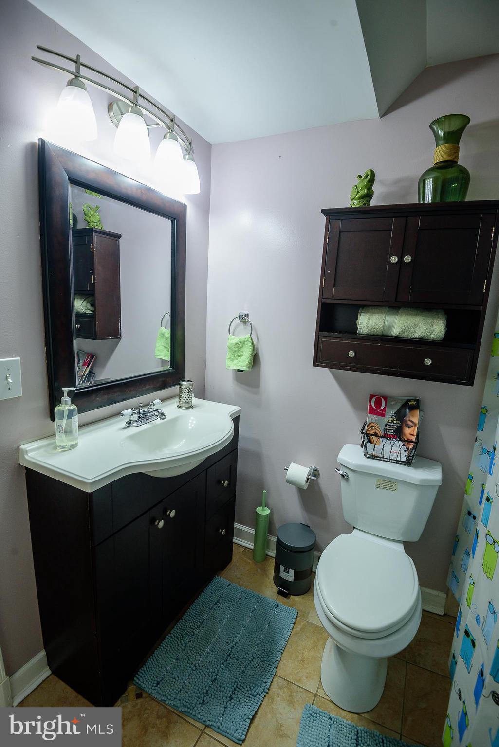3825 Oaklawn Road Fort Washington, MD 20744 - Photo 10 of 23 Bathroom