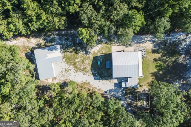 a view of a garden with plants