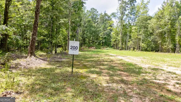 a view of a house with backyard and a tree